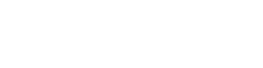 Nuclear Instruments srl logo